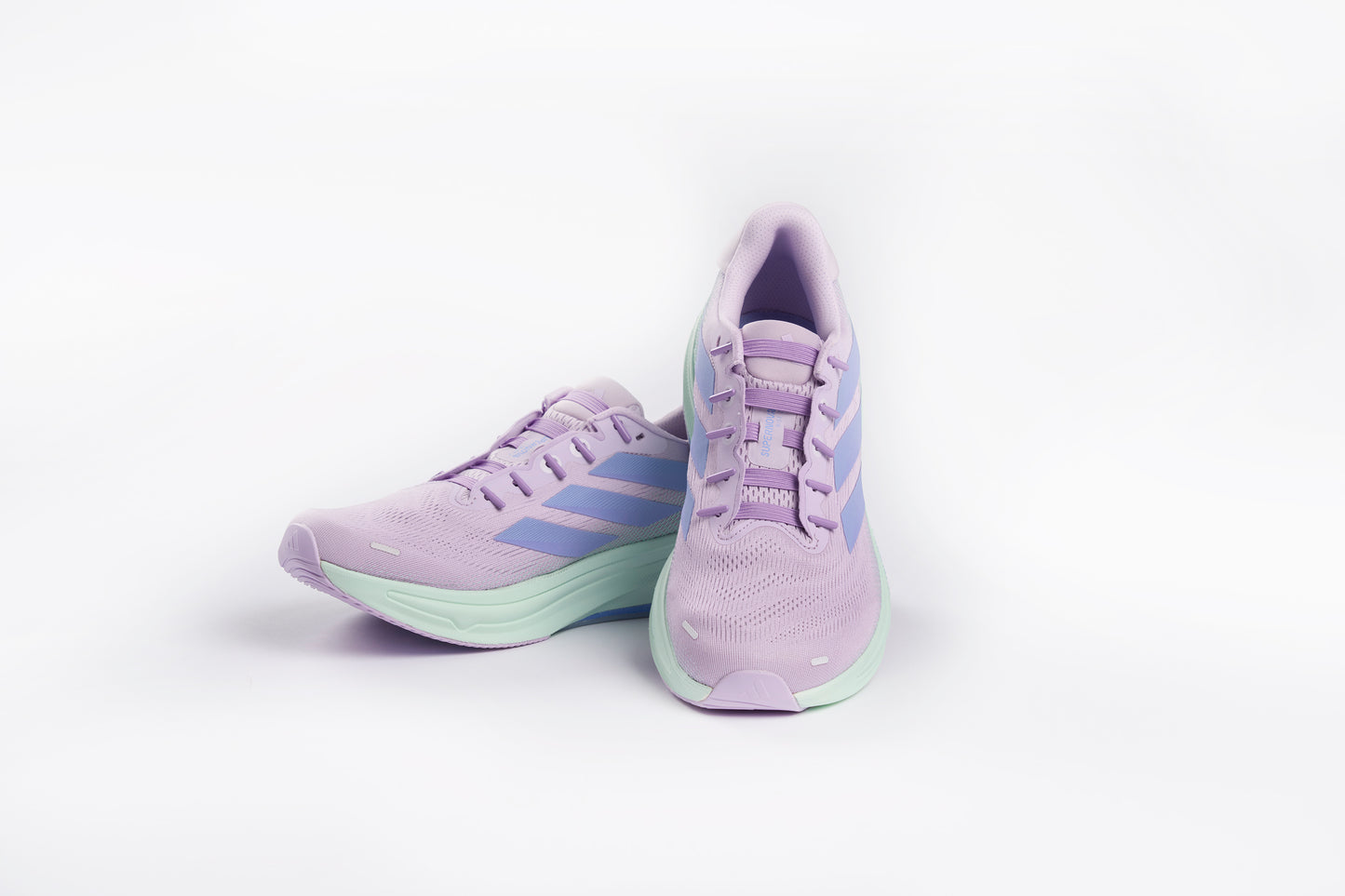 SUSPENSE ELASTIC LACES PURPLE