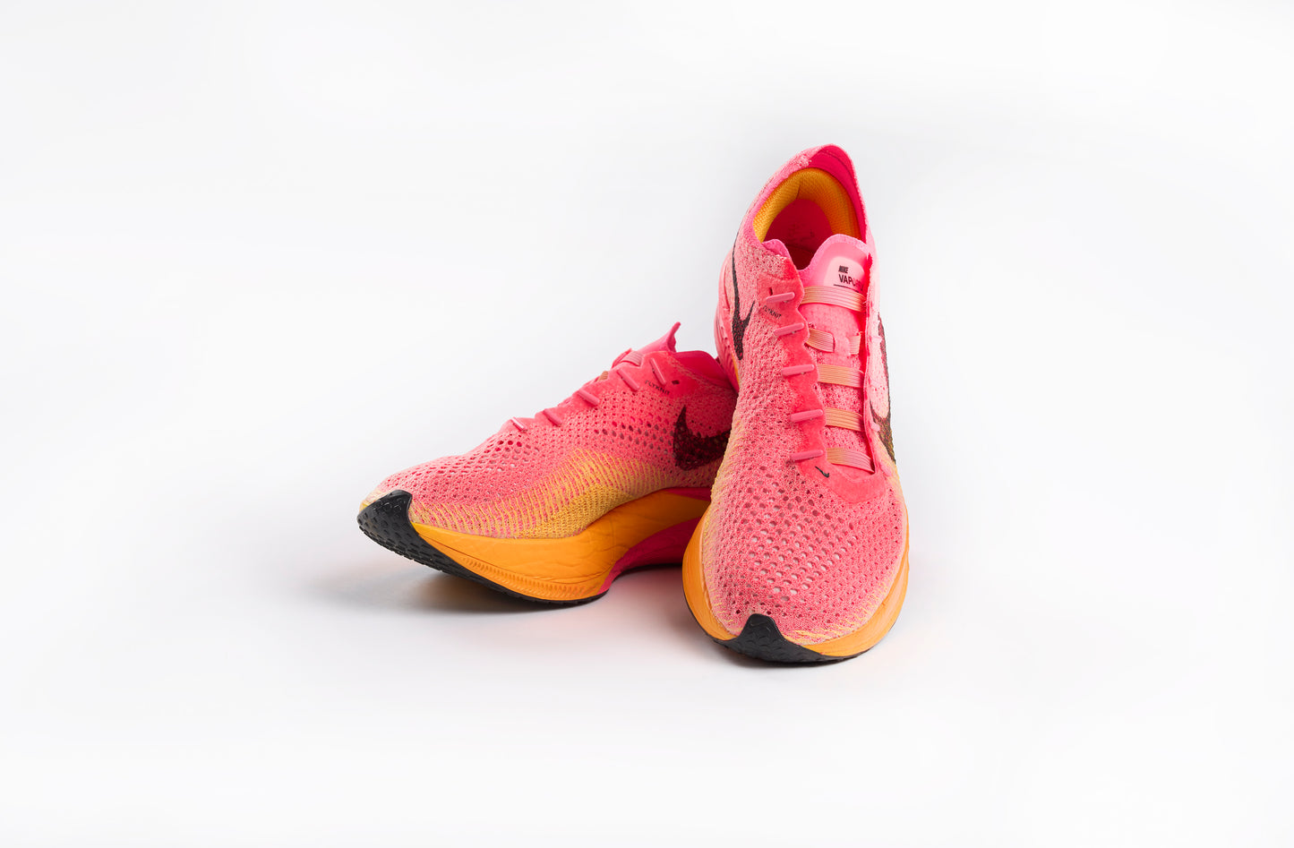 SUSPENSE ELASTIC LACES PINK/ORANGE GRADIENT