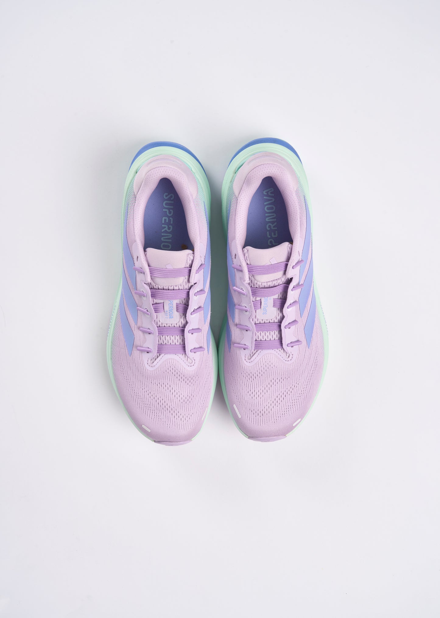 SUSPENSE ELASTIC LACES PURPLE